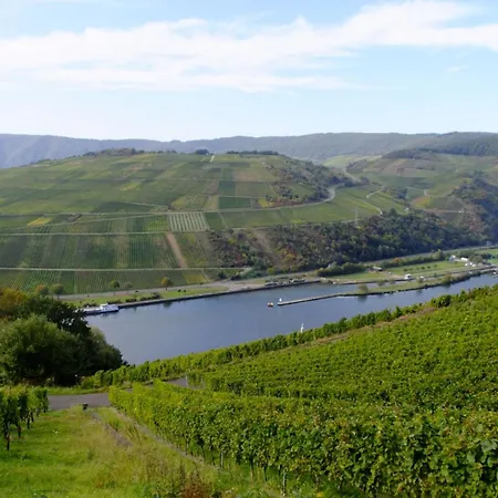 Alexandra By Interhome Apartamento