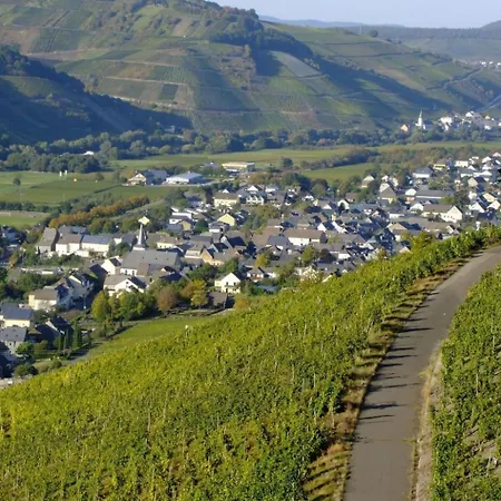 Alexandra By Interhome