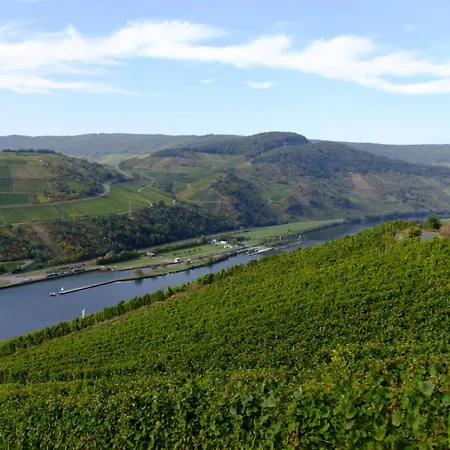 Alexandra By Interhome Apartment