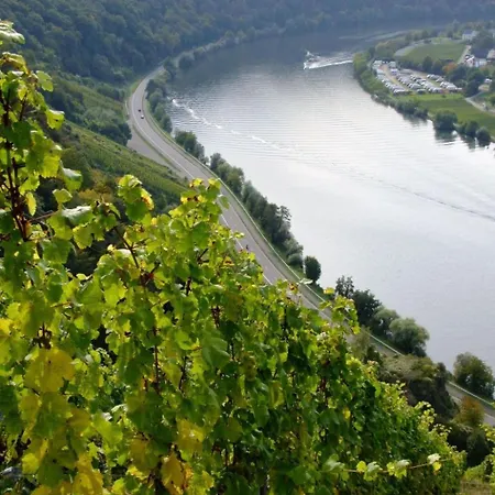 Apartment Alexandra By Interhome Wintrich