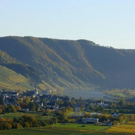 Apartment Alexandra By Interhome