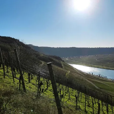 Alexandra By Interhome *