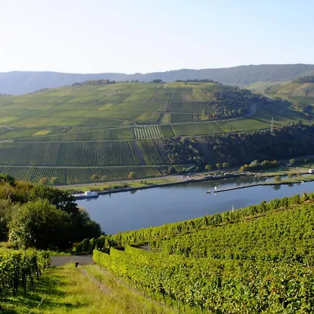 Alexandra By Interhome *