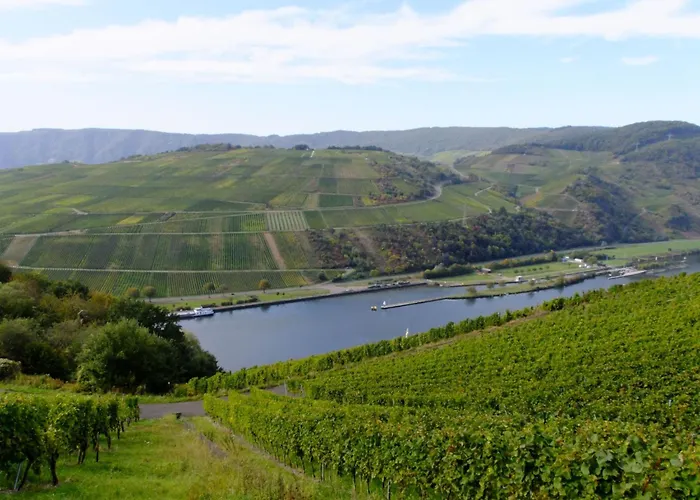 Alexandra By Interhome Apartment