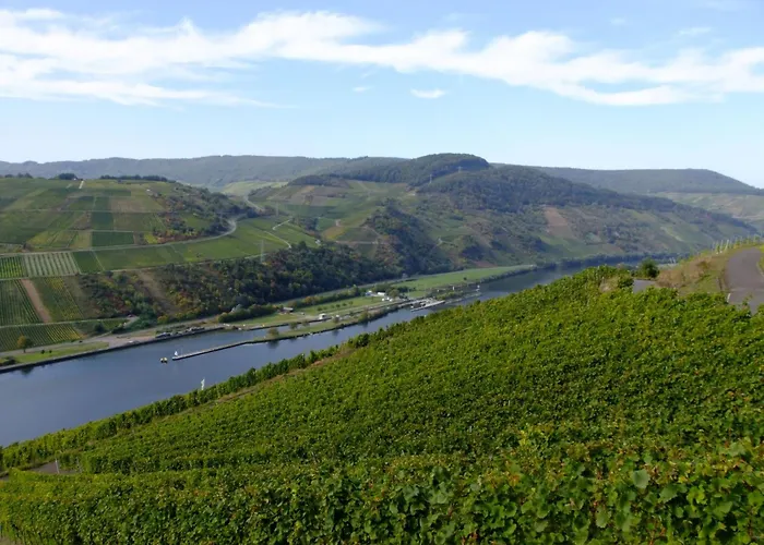 Alexandra By Interhome Apartment