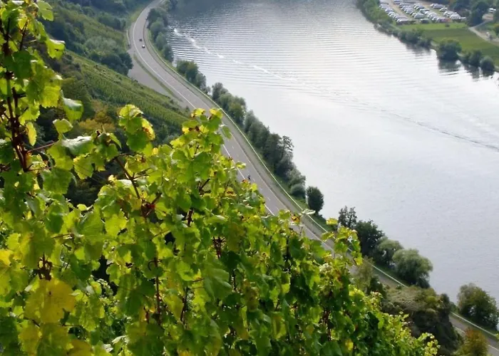 Apartment Alexandra By Interhome Wintrich