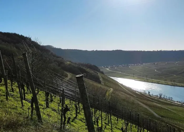 Alexandra By Interhome *